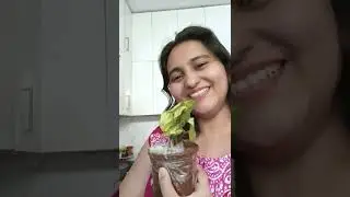 I got a free plant from Nursery live #freeplants #shorts #homedecor #nurserylive