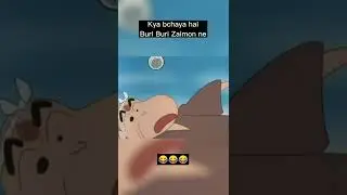 Buri Buri Zaimon Op