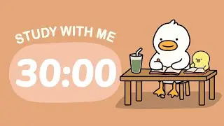 5 hour Study with me | 30x8 Pomodoro Timer | 5-Min Breaks + 15-Min Long Break | Study & Work Jazz
