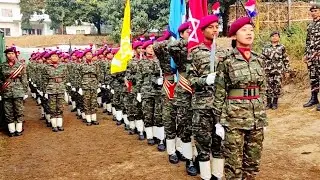 NCC pass out parade  2080 🎖️⚔️|| 49th batch ||junior division|| yangsila morang||