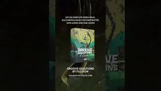 Groove Solutions by Flo.Von Sample Pack