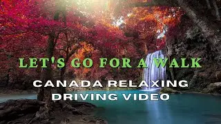 Canada relaxing driving video - Let's Go For A Walk 2022