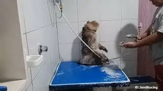 Jk Almost Jump out Without Lease from Bathroom