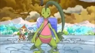 Everytime a grovyle the thief movie