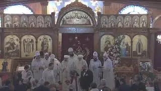 Holy Liturgy & Wedding Service Michael & Mariam - Jan 31, 2026