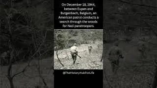 World War 2 Rare Photos #history #ww2 #military #militaryhistory  #historicalphotos #usa #worldwar2