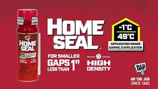 DAP Home Seal Foam