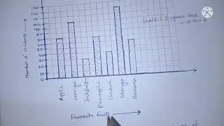 Data Handling || Class 4 || Mathematics