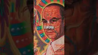 AS&Iacute; SE DESCUBRI&Oacute; EL LSD&hellip; POR ERROR