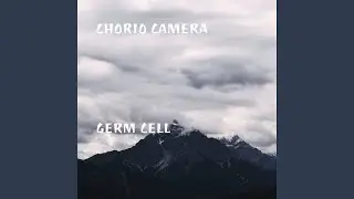 Shot Woke