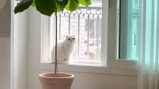 여러분의 기도가 필요해요..