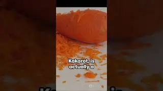 Goku Quiz Time  Test Your Dragon Ball Z Knowledge