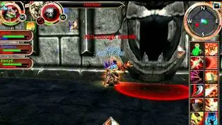 Order & Chaos Online- EHL Pro Wipe