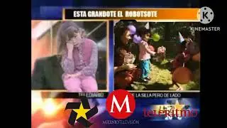 MULTIMEDIOS MILENIO TV TELERITMO 