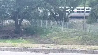 Amtrak 92 goes by Seffner, FL