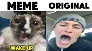 Wake Up Cat Meme Original Video