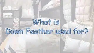 What is down feather used for?