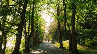 Sounds Like You Need Halifax - Trail