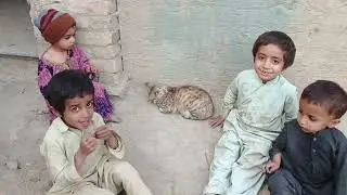 For child one cat in village walidlife 