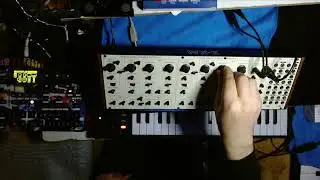 Behringer XM Synthesizer and Digitakt fun PART 2