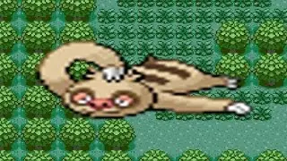 How to find Slakoth in Pokemon Emerald