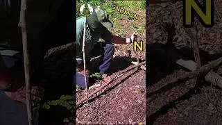 GNOMON Jak wyznaczyć P&oacute;łnoc? #survival #nawigacja