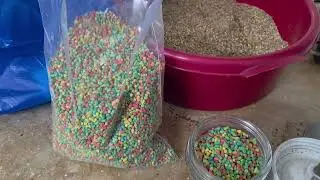 Winter Special Egg Food for Grass Parakeets | Boost Health & Warmth