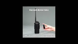 RT29D DMR Waterproof Portable Radio