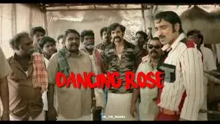 Dancing rose 🌹| Shabeer kallarakkal | sarpatta parambarai - mass video