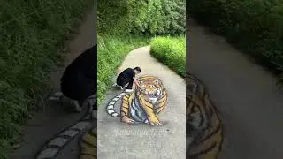dangerous dog chase away by road 😮😱 #shorysvideo #shortsvideo #minivlog #vlogs@mrbeast @crazyxyz