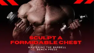 sculpt a formidable chest with barbell bench press