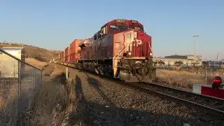TVR Rail Spotting HD: CP 113 heading west at Cochrane east AB