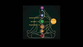 Ida, Pingala & Sushumna Nadis & Chakras  #universalenergy #chakrabalance #energyhealing #universe