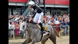 Meet the 2025 Preakness contenders