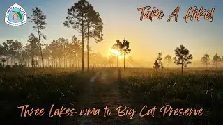 Florida Trail - 3 Lakes wma to (almost) Big Cat Rescue (mm 273.6)