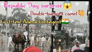 History made 🇮🇳✨ Animal Contingent joins Republic Day Parade for the first time