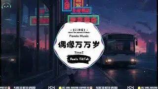 TimeZ - 偶像万万 (抖音DJ版) Ou Xiang Wan Wan『痛苦和悲伤，留给我自己。』【動態歌詞｜Vietsub｜Pinyin Lyrics】