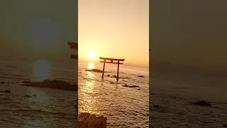 nature is always wonderful #viral #shorts #nature #drone #sunset #dusktilldawn #sea