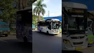 BISKITA Trans Pakuan K1 & K5 - Halte Tugu Narkoba 2 #biskitatranspakuan #bogor #indonesia #shorts