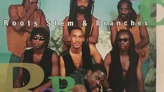 RSB Band (Roots Stem & Branches)C&rsquo;est Cadance.