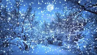 [10 Hours] Moonlit Snowy Forest - Video & Audio [1080HD] SlowTV