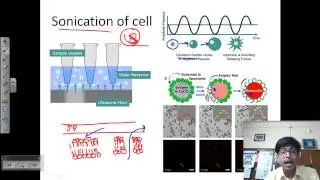 Sonication process