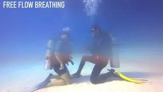 PADI Open Water Diving courses in Hurghada, Egypt
