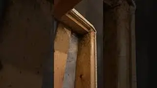 Ludelinna, tuholaistorjuntaa kaipaava asunto. Pest Control Center. Tuholaistorjuntakeskus Oy.