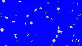 Falling Flowers - Green Screen Animation