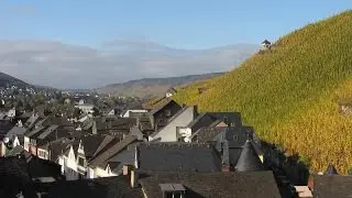 Moselle: river, towns and vineyards. Мозель: река, города и виноград.