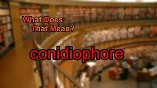 What does conidiophore mean?