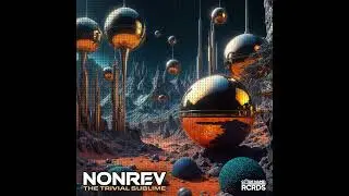 NonRev Raison D' Etre (feat TRC2) (CODELP004)