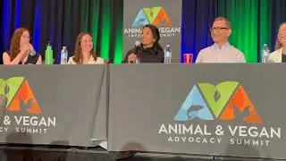 Introducing the Alt Protein Expert Panel at the 2023 AVA Summit