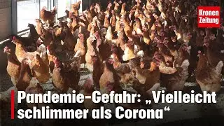 Pandemie-Gefahr: &bdquo;Vielleicht schlimmer als Corona&ldquo; I krone.tv NEWS